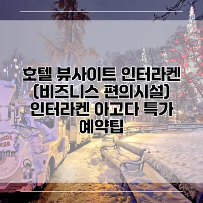 호텔 뷰사이트 인터라켄 (비즈니스 편의시설) 인터라켄 아고다 특가 예약팁