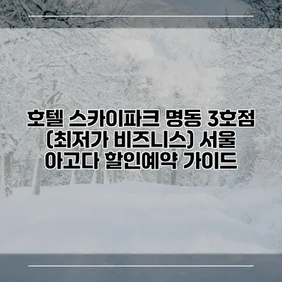 호텔 스카이파크 명동 3호점 (최저가 비즈니스) 서울 아고다 할인예약 가이드