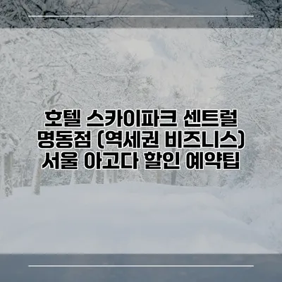호텔 스카이파크 센트럴 명동점 (역세권 비즈니스) 서울 아고다 할인 예약팁