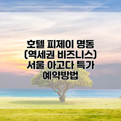 호텔 피제이 명동 (역세권 비즈니스) 서울 아고다 특가 예약방법